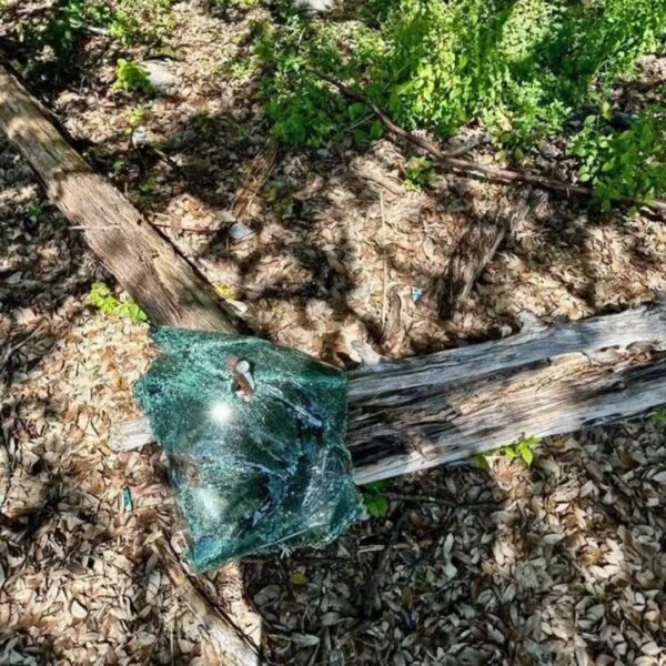 City of Austin Park Rangers (Facebook)