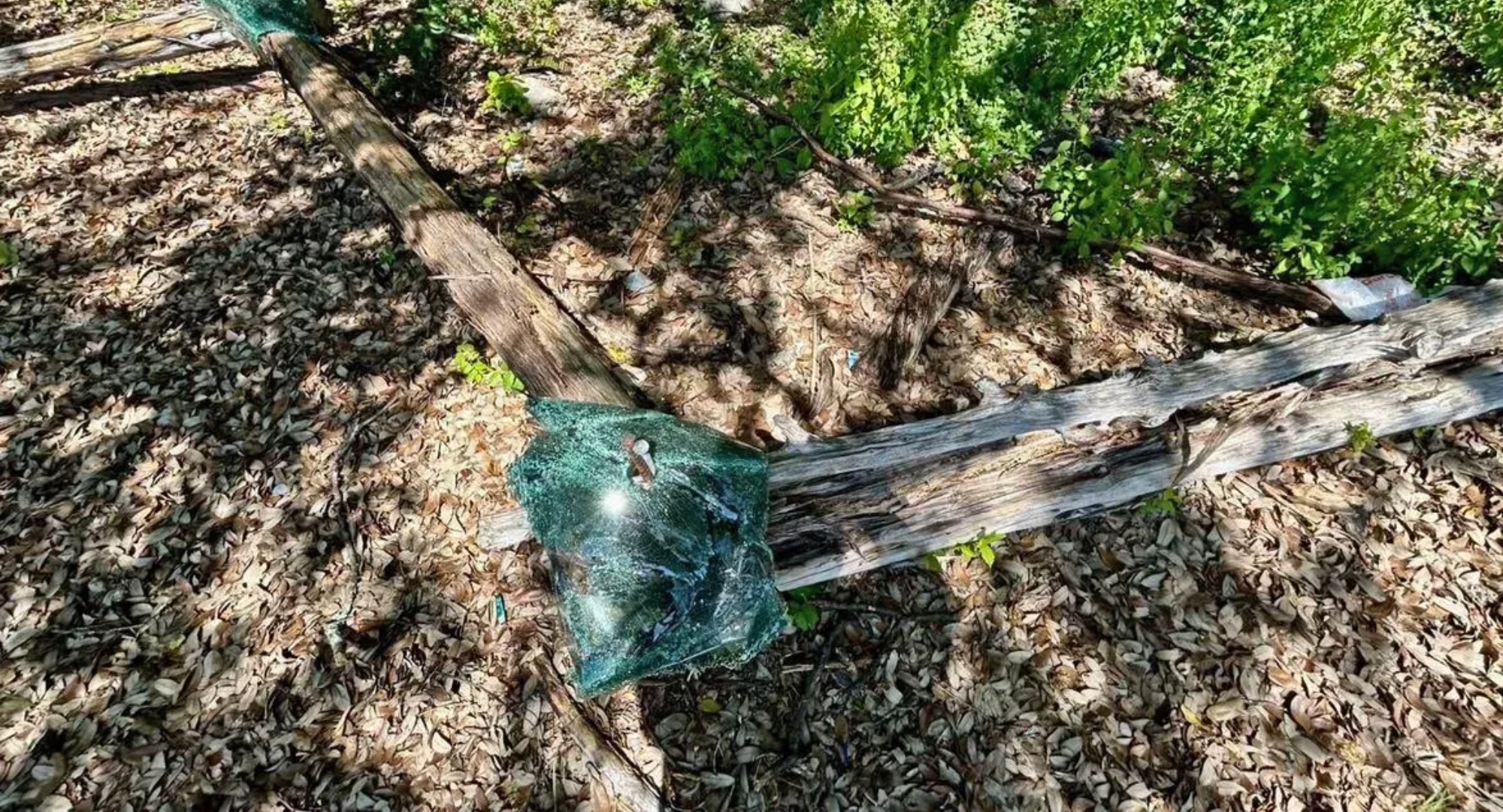 City of Austin Park Rangers (Facebook)