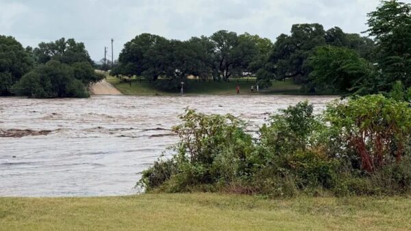 (Cortesia: Gillespie County Sheriff's Office)