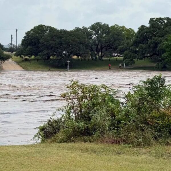 (Cortesia: Gillespie County Sheriff's Office)