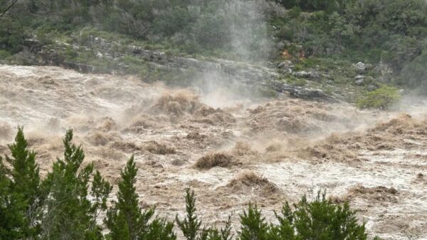 (Cortesía: Pedernales Falls State Park)